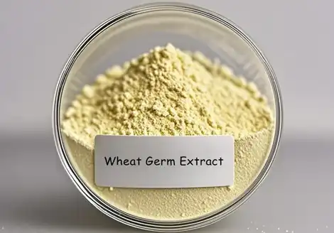What Are the Benefits of Spermidine Powder?